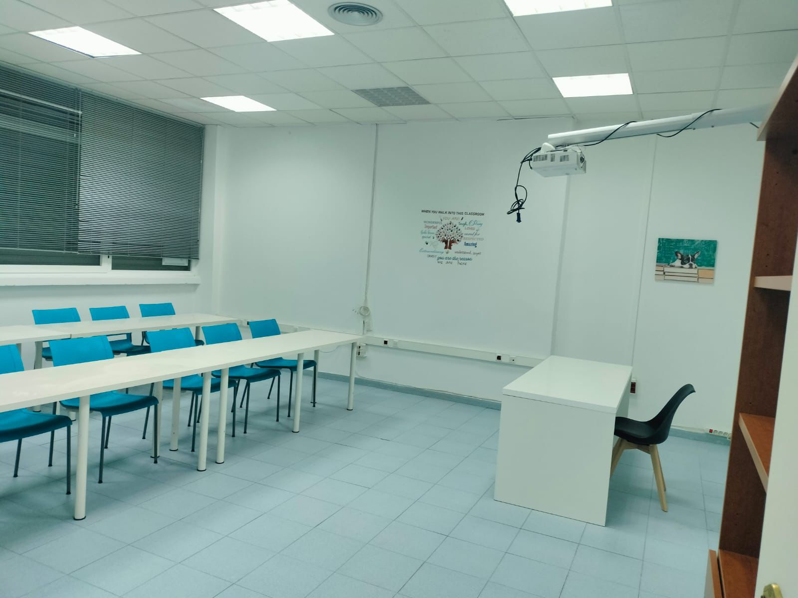 Profesor en el aula